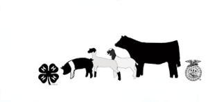 Quitman FFA Livestock Show