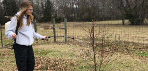 Quitman FFA Member Turns Family Tradition Into Successful Production Agriculture Project