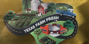 QISD Reaches Top Level in The Texas Department of Agriculture Farm Fresh Challenge